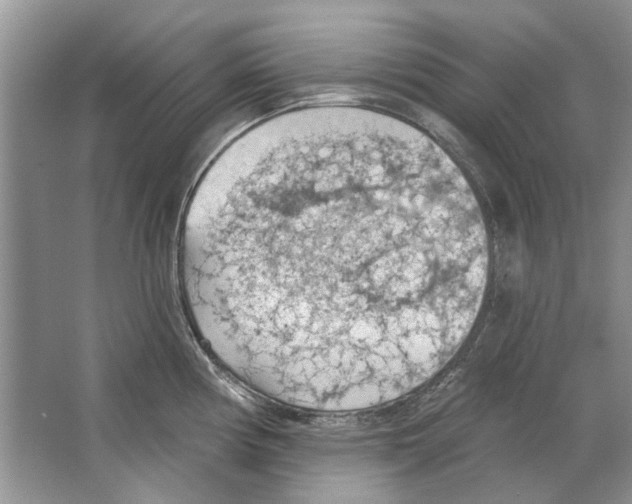 X0000063451194200602171849