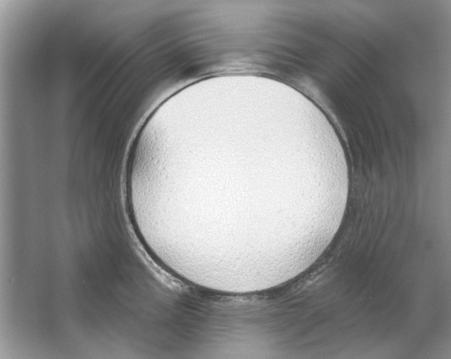 X0000063451195200602171849