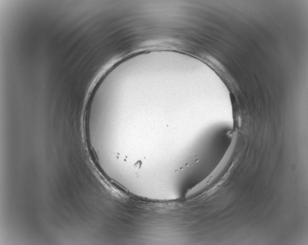 X0000063451196200602171849