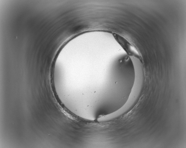 X0000063451197200602171849