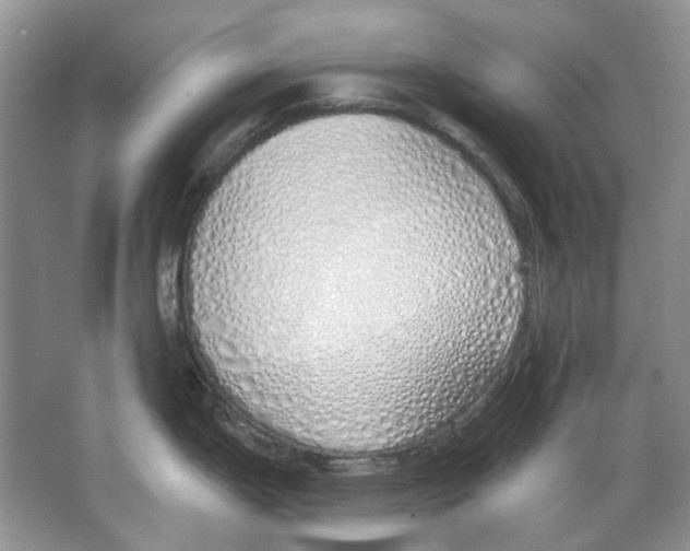 X0000063451199200602171849