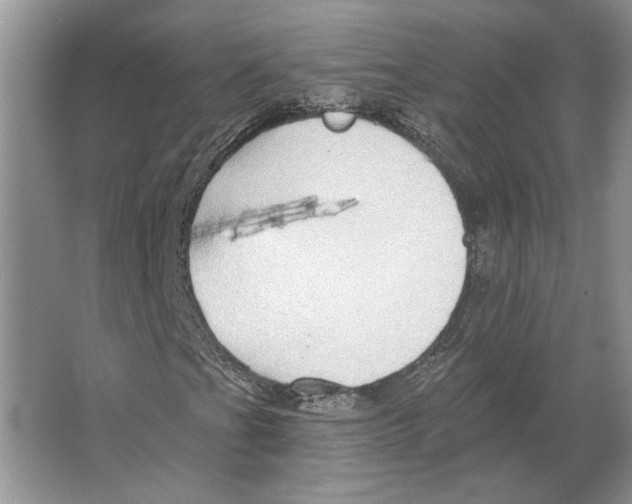 X0000063451201200602171848