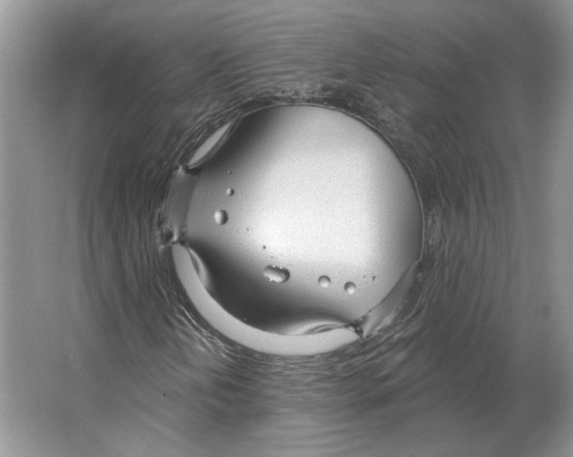 X0000063451202200602171848