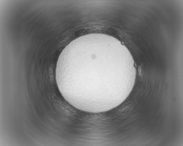 X0000063451203200602171848