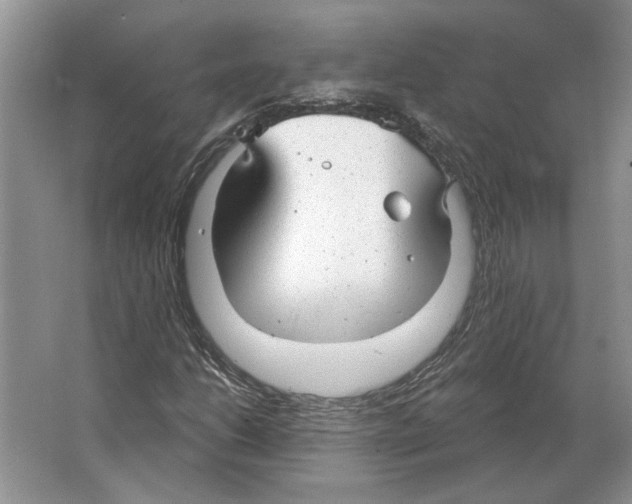 X0000063451206200602171848