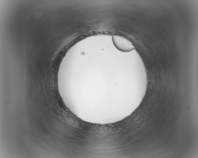 X0000063451207200602171848