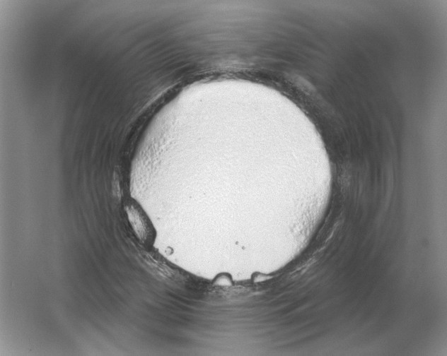 X0000063451209200602171848