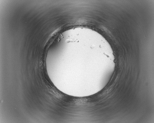 X0000063451210200602171848