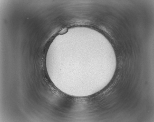 X0000063451211200602171848