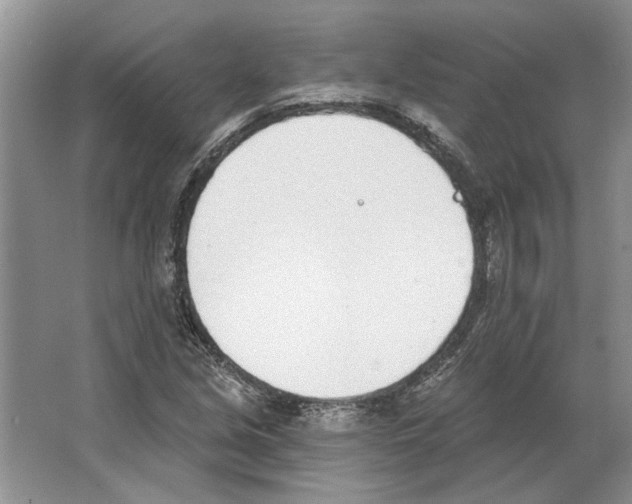 X0000063451213200602171848