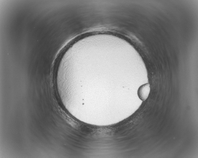 X0000063451216200602171849