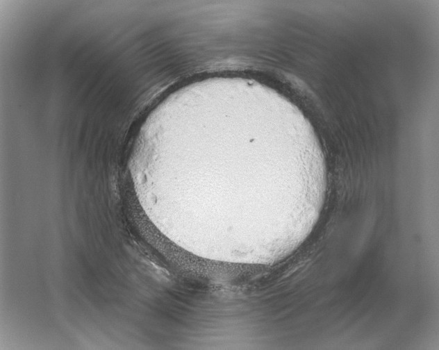 X0000063451217200602171849