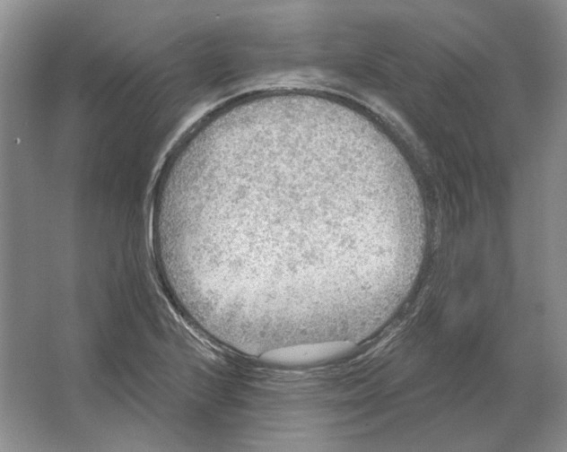 X0000063451224200602171849