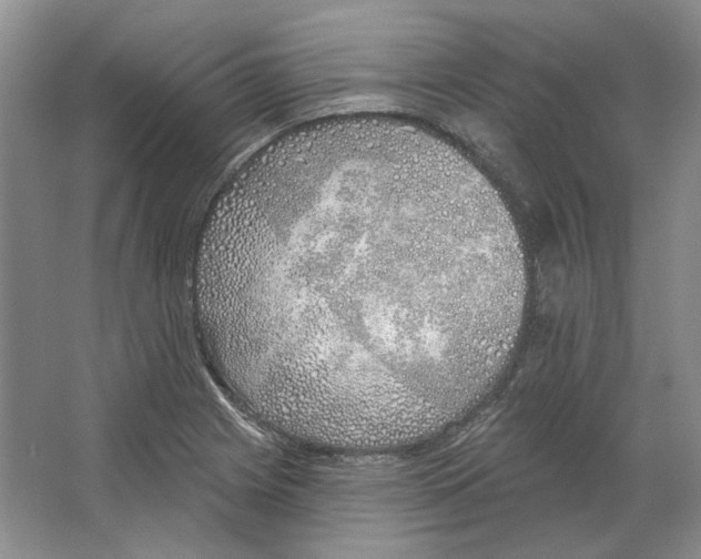 X0000063451225200602171849