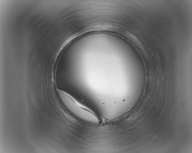 X0000063451226200602171849