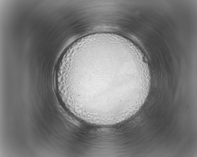 X0000063451227200602171849