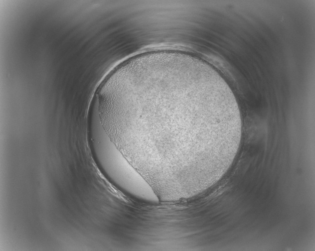 X0000063451228200602171849