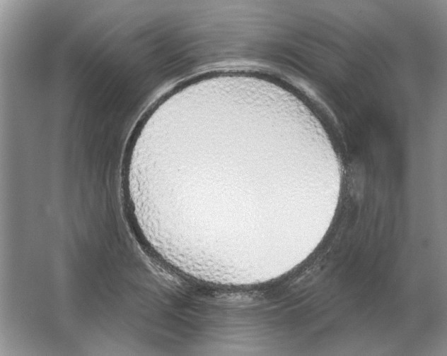 X0000063451229200602171849