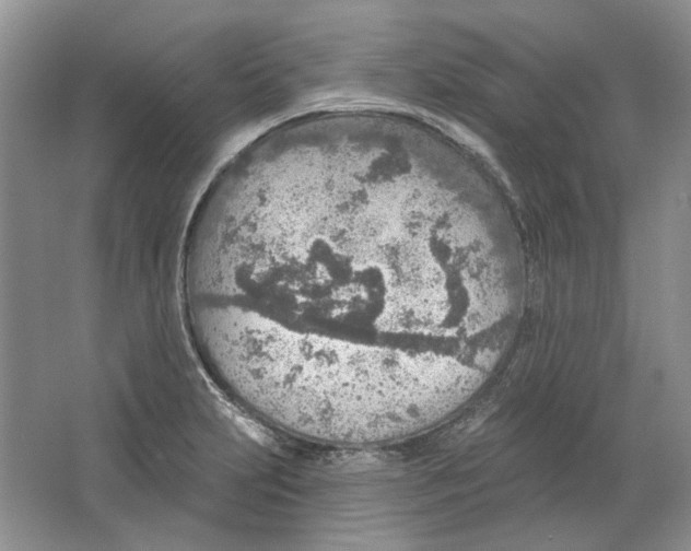 X0000063451231200602171849