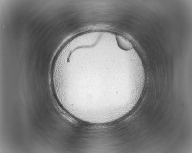 X0000063451232200602171849