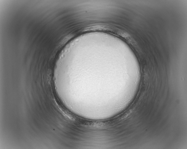 X0000063451233200602171849