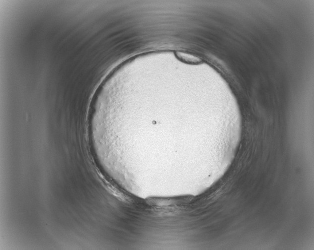 X0000063451236200602171849