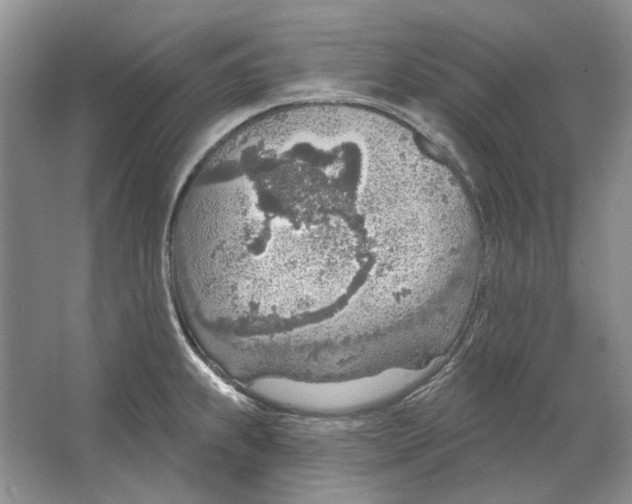 X0000063451239200602171849