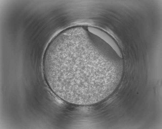 X0000063451240200602171849