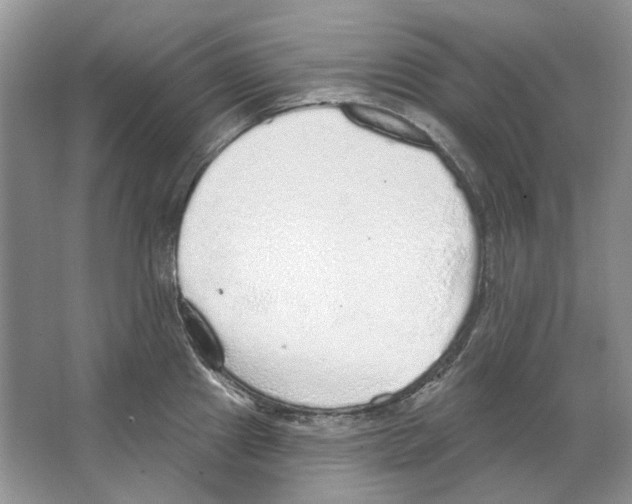 X0000063451241200602171849