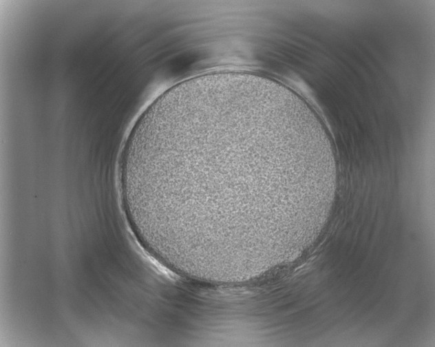 X0000063451243200602171849