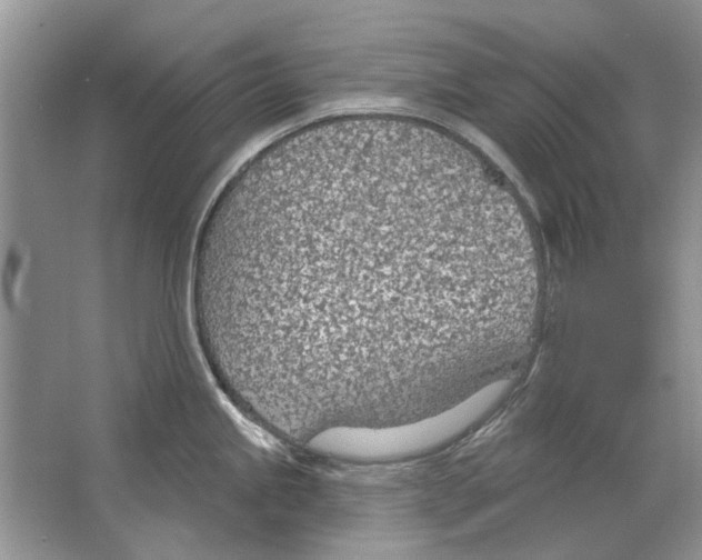 X0000063451245200602171849