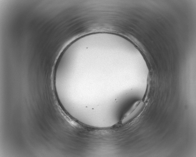 X0000063451246200602171849