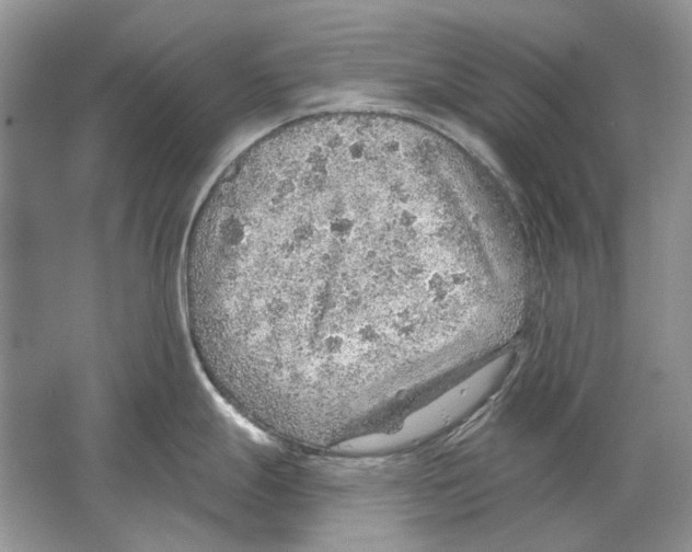 X0000063451247200602171849