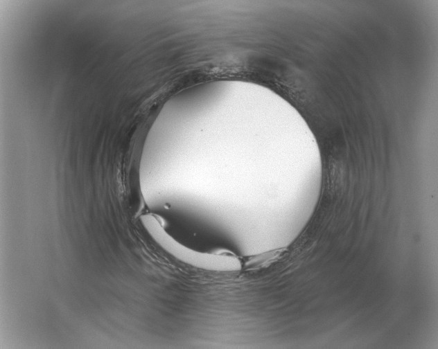 X0000063451250200602171848