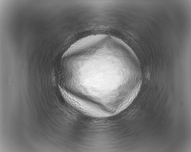 X0000063451252200602171848