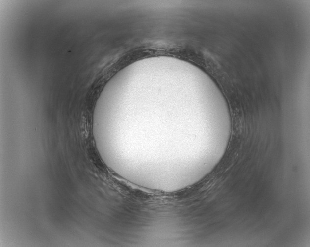 X0000063451253200602171848