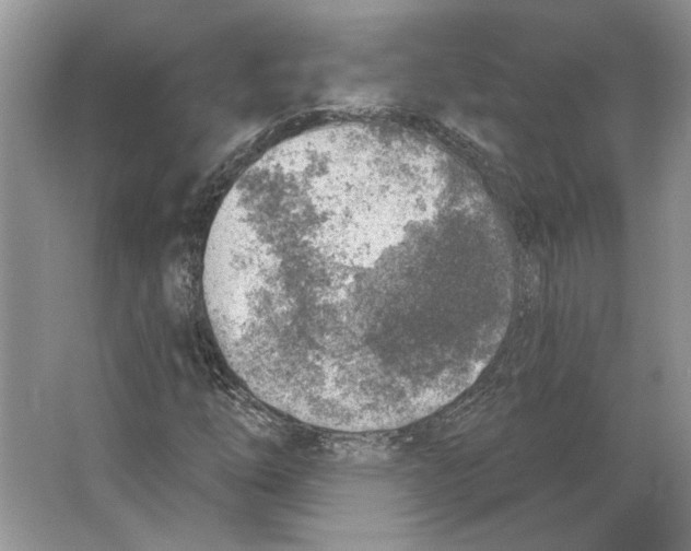 X0000063451254200602171848