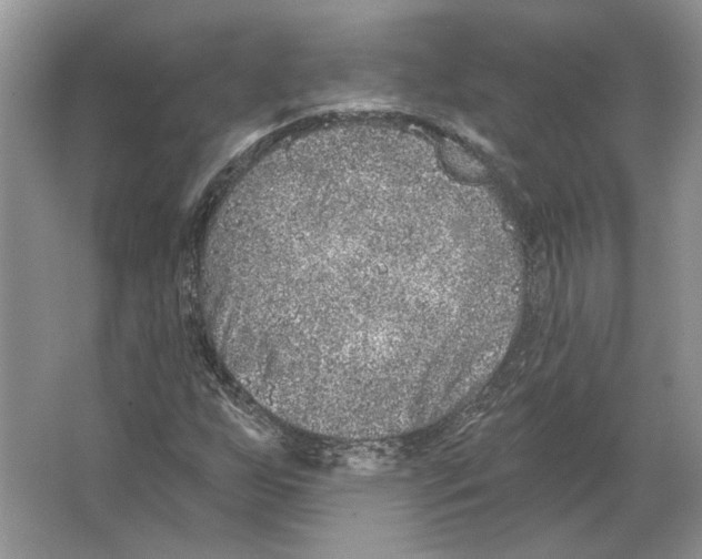 X0000063451255200602171848