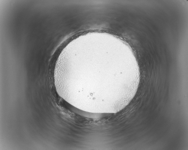 X0000063451256200602171848