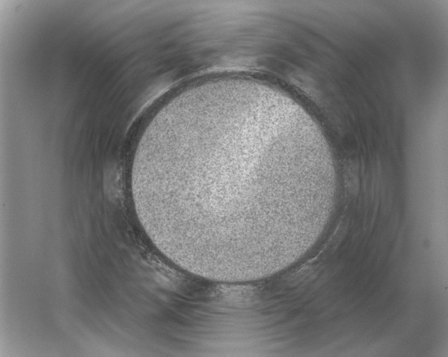 X0000063451258200602171848