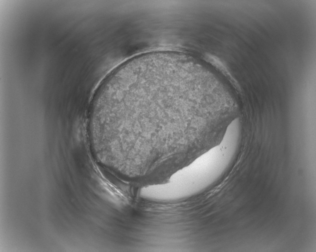 X0000063451260200602171848