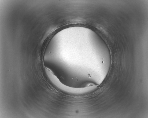 X0000063451261200602171848