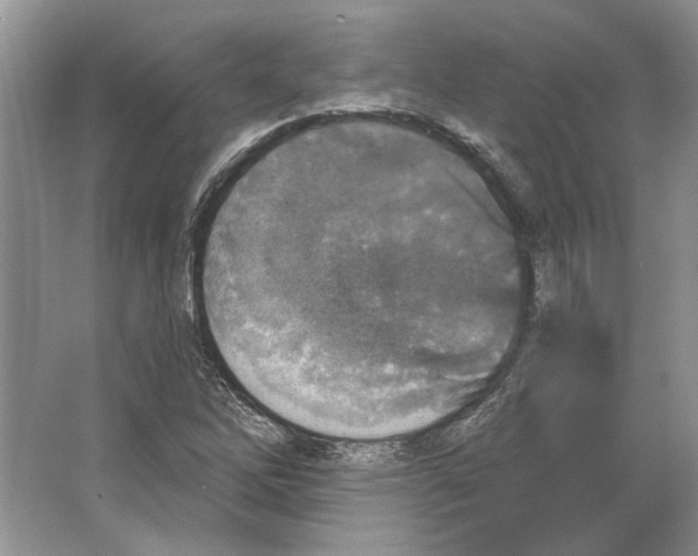 X0000063451262200602171848