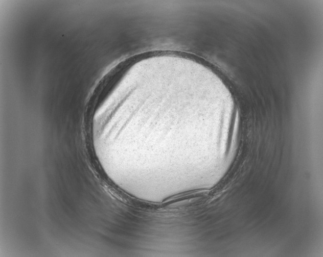 X0000063451264200602171848