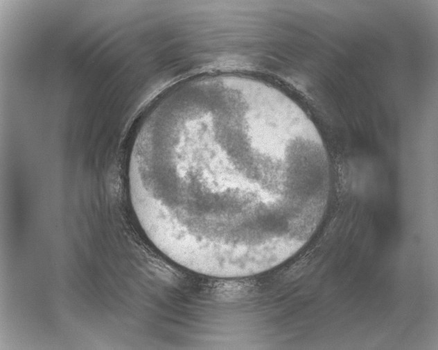 X0000063451266200602171848