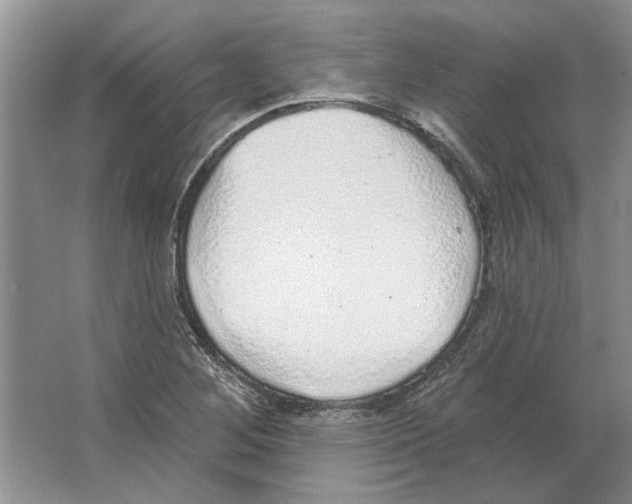 X0000063451268200602171848