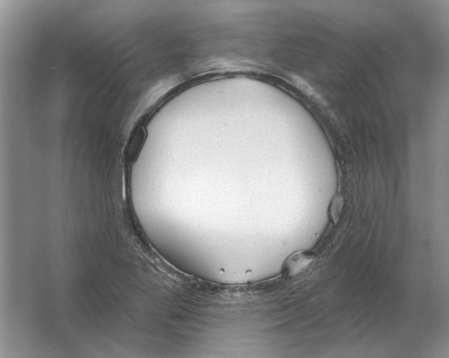 X0000063451269200602171848