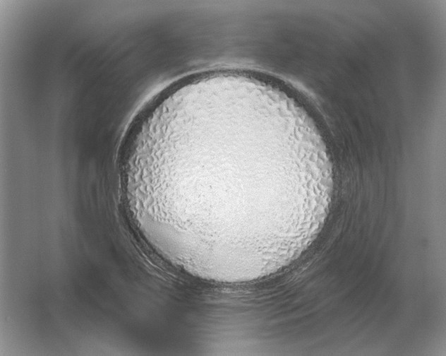 X0000063451271200602171848