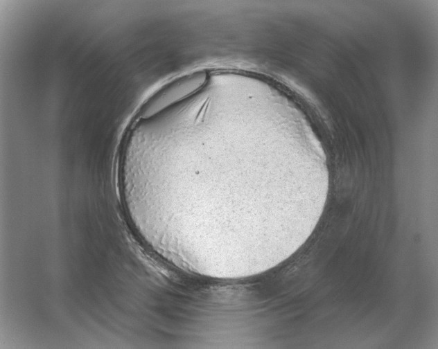 X0000063451272200602171848