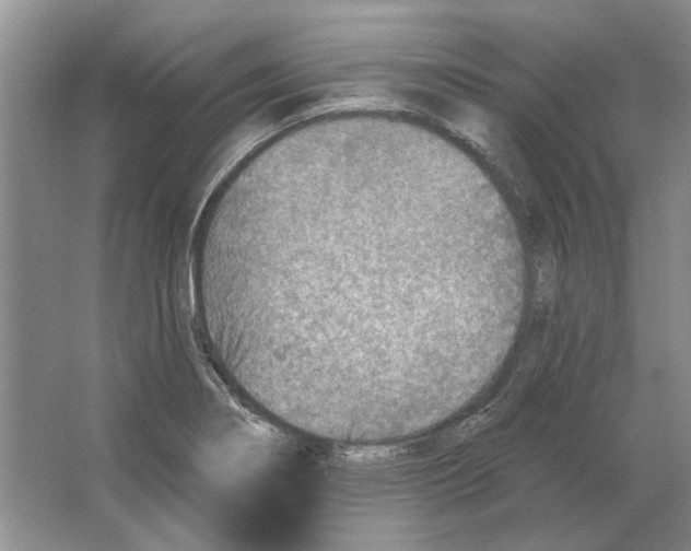 X0000063451274200602171848